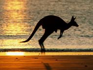 AUSTRALIJA i NOVI ZELAND 2024