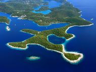 OTOK MLJET